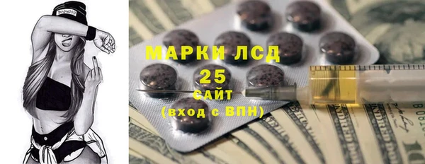 гашик Аркадак