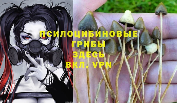 мяу мяу кристалл Армянск