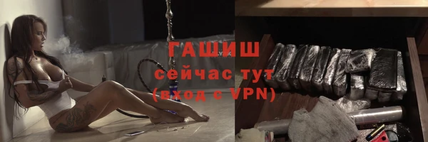 гашик Аркадак