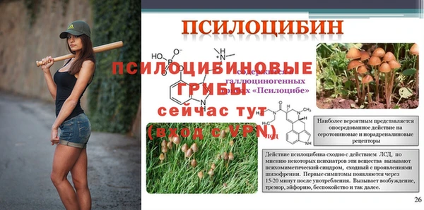 гашик Аркадак