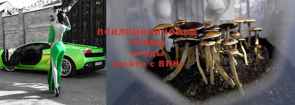 гашик Аркадак