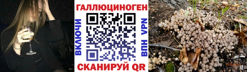 где найти   гидра   Галлюциногенные грибы ЛСД  Красный Кут 
