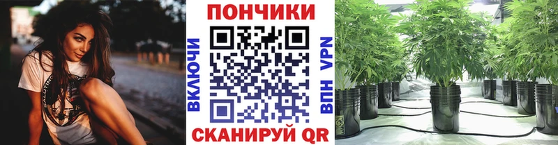 Бошки Шишки VHQ  Красный Кут 